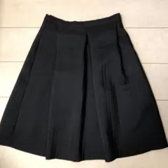 黒のスカートのサムネイル
