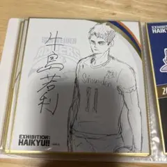 ハイキュー 箔押しイラストカード 牛島若利 牛若 ハイキュー展 - メルカリ
