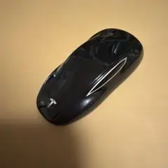 テスラキーフォブ