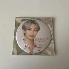 JEONGHAN SEVENTEEN 缶バッジ　セブチ　ジョンハン