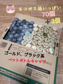 ペットボトルキャップ　工作、ハンドメイドの材料　ネコポス専用箱にいっぱい73個