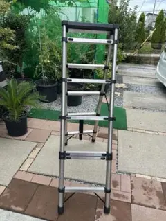 Item thumbnail for item 276114c2-02a9-4d56-a910-39ec79796d5d