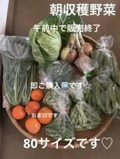 お野菜の詰め合わせ　80サイズ 4月30日ご発送です（セミノールはおまけです）のサムネイル