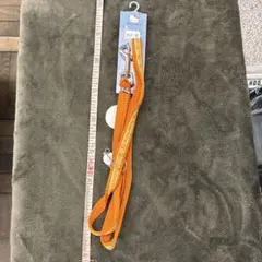 Item thumbnail for item 9b8aa590-9a1e-4850-8372-6d5b4d21e05c