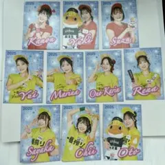 売り子カード　キリン　2025年第1弾　全種コンプリートセット