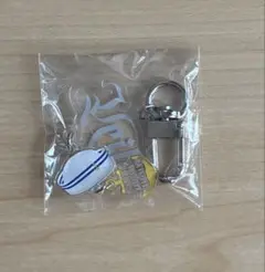 【テミン】Veil ツアーJAPAN OFFICIAL GOODS＊ガチャ