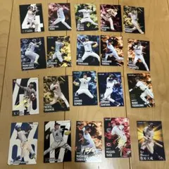 カルビー プロ野球チップス スターカード セット