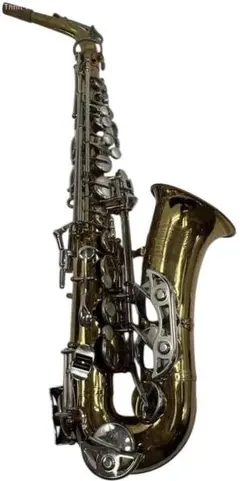 2026年最新】Selmer BUNDYの人気アイテム - メルカリ