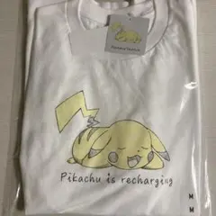 Item thumbnail for item 6fc6f1a2-dc26-4222-a64d-7b27a4a29f12