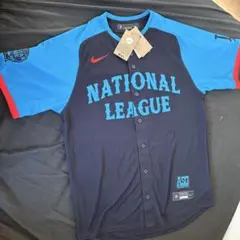 Item thumbnail for item 91cdf56f-4785-4ac8-85a5-8dc9d1042978