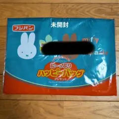 フジパン ミッフィー レジカゴバッグ 2013年　未開封