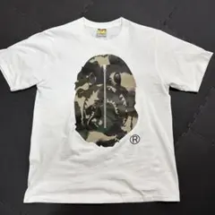 激レア】オールドエイプ APE × KAWS Tシャツ シングルステッチ - メルカリ