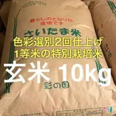 【保冷庫管理】色彩選別2回仕上げ・1等 特別栽培米 コシヒカリ 玄米 10kgのサムネイル