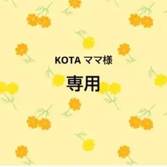 KOTA ママ様　おまとめ品専用出品