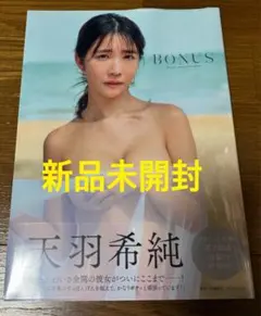 Item thumbnail for item 18a2ade1-b839-4b79-b3ca-0865f58d8cbd