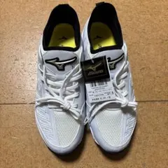 Item thumbnail for item e0a12148-376d-4a9b-b83e-2b241380de73