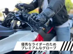 Item thumbnail for item c28cd02e-ed04-435e-9f75-cb9e669557f0