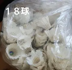 シャトル 中古 ぼろぼろ 18個セット バドミントン ヨネックス バッティング
