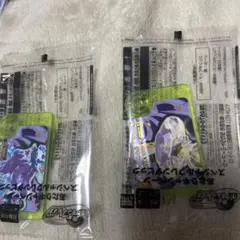 ポケモンフレンダ　ウミルミナモ　タケルライコ　あたりキャンペーン❶