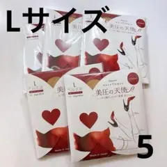 カネボウエクセレンス美圧の天使ストッキング5点【Lサイズ】エンジェルベージュ