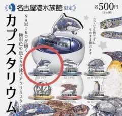 2026年最新】名古屋港水族館 シャチの人気アイテム - メルカリ