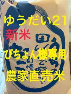 ぴちょん様専用