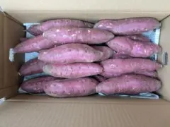 鹿児島県産新さつま芋5キロのサムネイル