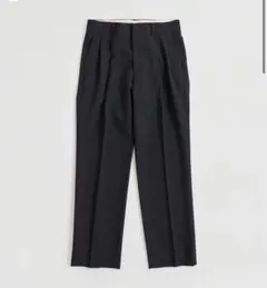 THE SHINZONE CHRYSLER PANTS 34