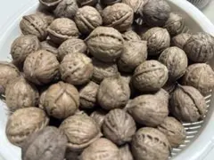 2026年最新】鬼クルミの人気アイテム - メルカリ