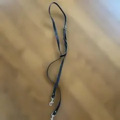 バレンシアガバックの肩紐のみ