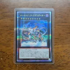 メレオロジック・アグリゲーター 25th QCSE クオシク