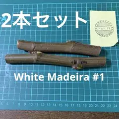 2026年最新】いちじく穂木の人気アイテム - メルカリ