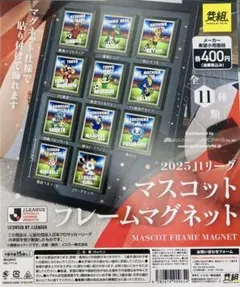 jリーグ 応援グッズ