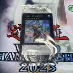 遊戯王　伝説の闇の魔導師 未開封　2023-JPD05のサムネイル