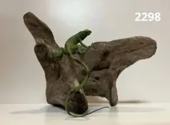 Item thumbnail for item 066392e5-3522-47fa-9d6b-41fce6b81264