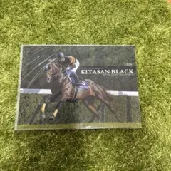 シンちゃん様 リクエスト 2点 まとめ商品