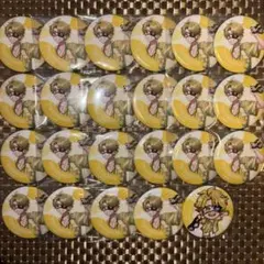 からぴち たっつん サマーランド 缶バッジ