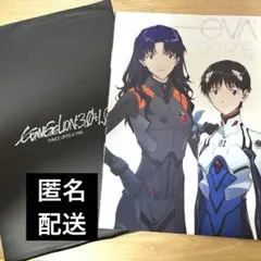 劇場版 シン・エヴァンゲリオン 入場者特典 冊子 黒袋未開封