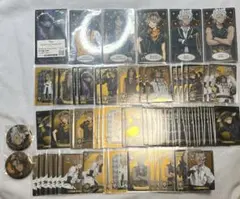 ツイステ　サバナクロー寮