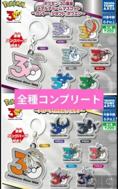 ポケモン 30周年 メタルチャームマスコット コンプリート
