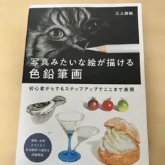 写真みたいな絵が描ける色鉛筆画 三上詩絵