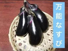 zcorpion※プロフご確認願います様 リクエスト 2点 まとめ商品