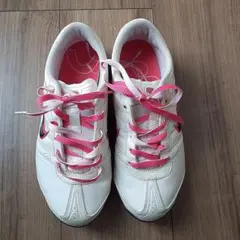 Item thumbnail for item 45073f87-9f67-40b1-a063-ede36b80410c