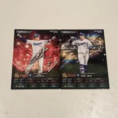 Item thumbnail for item d26a0a8f-2581-4f20-ab95-73e7d699bc1f