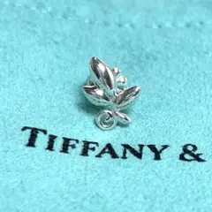 【 極美品 】　ティファニー　ピアス　バイザヤード　タンザナイト　925　箱付 TIFFANY&Co. ティファニー バイザヤード ダイヤモンド ピアス