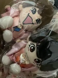 ちびぬい 大西流星 藤原丈一郎 なにわ男子