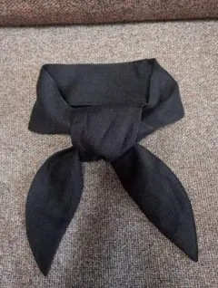 Item thumbnail for item 52711729-32e3-4628-b8a7-5083e67d6a32