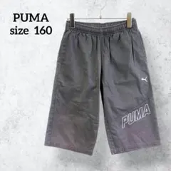プーマ ハーフパンツ キッズ160 グレージュ コットン カジュアル H0255