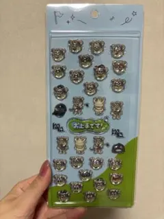 新品未使用 ウェルくんちゅるりんシール お上手です シール 向井康二