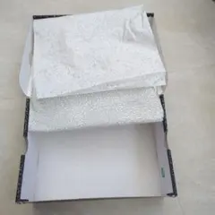 空箱　（Jordan Spizike Low スニーカー 10）